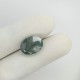 Tree Agate 6.68 Ct Gem Quality Tree Agate 6.68 Ct Gem Quality